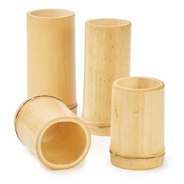 Bamboo cup 1