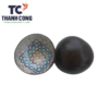 TCBD22601 lacquer coconut bowl