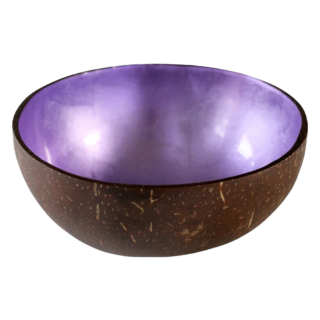 Metallic Coconut Bowl