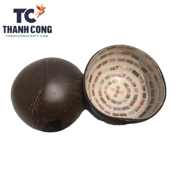 Mother of pearl coconut shell bowl