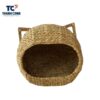 water hyacinth cat house