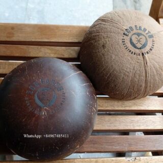 coconut bowl wholesale made in vietnam