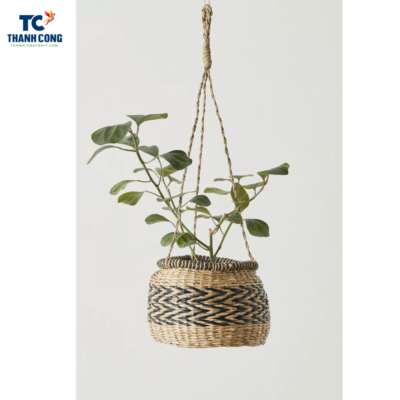 seagrass hanging planter