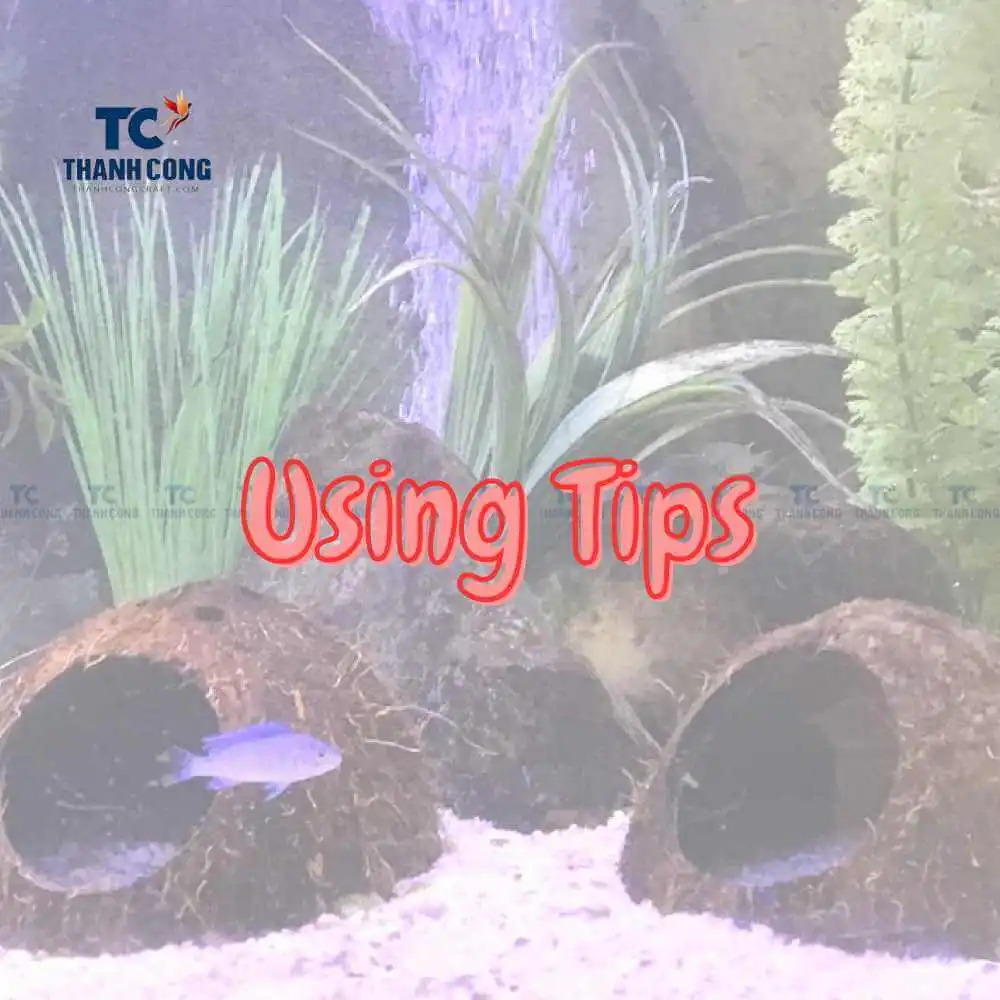 Coconut Shell for Aquarium Using Tips