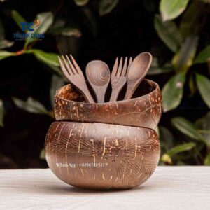 Coconut bow set with spoon and fork, coconut shell bowls wholesale
