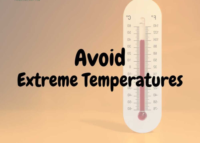 Avoid extreme temperatures to care for coconut bowls