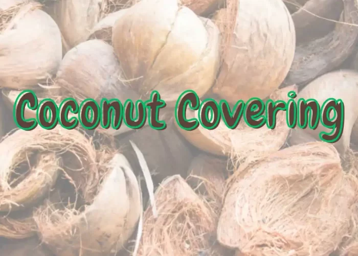 The coconut covering