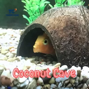 Coco Peat in Aquariums?! **EXPERIMENT** 