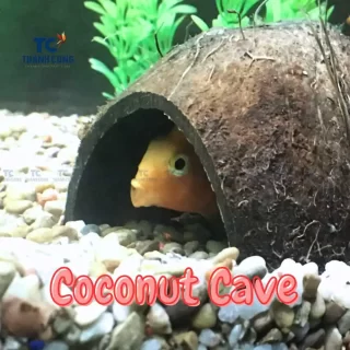 Coconut Shell for Aquarium