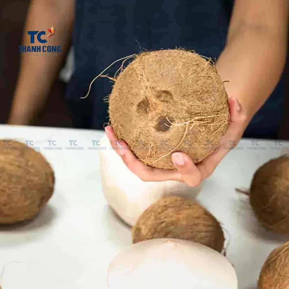 Before you begin, choosing the suitable coconut for your bowl is essential