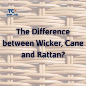 The Difference between Wicker, Cane and Rattan?