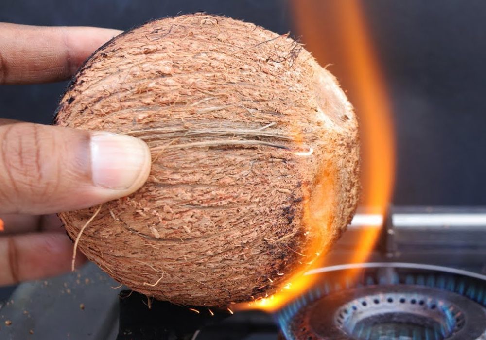 How to remove COCONUT Shell from COCONUT  How to BREAK COCONUT SHELL  WITHOUT BREAKING THE COCONUT 