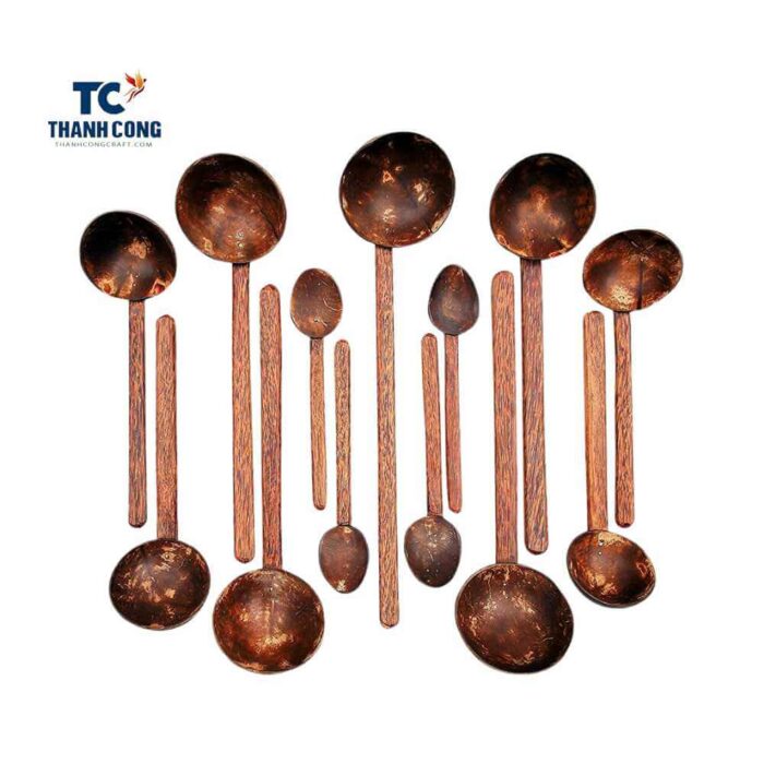 Coconut shell ladle