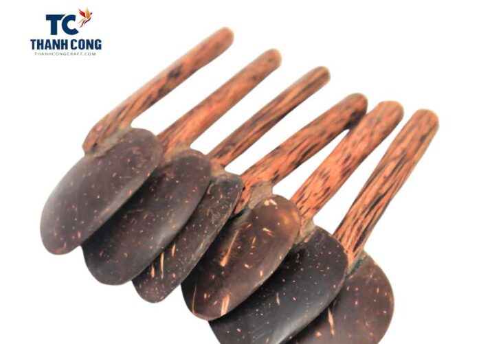 Coconut Shell Spoon