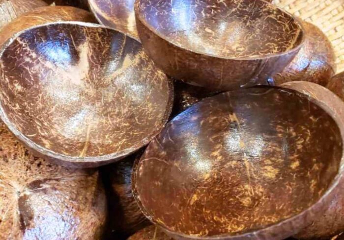 How to preserve a coconut shell: Coating the coconut shell with varnish or clear sealant helps to preserve the coconut shell from moisture, cracking, and rotting