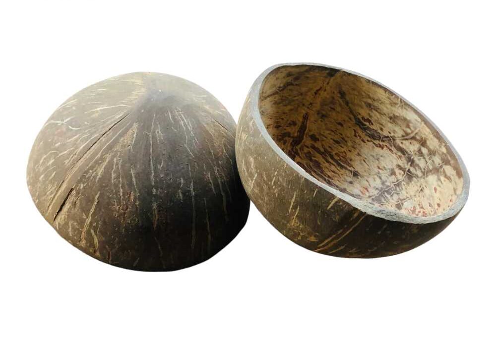 How to Preserve A Coconut Shell - Do You Know These Steps?
