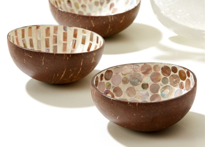 11 Popular Types Of Coconut Shell Bowls Today