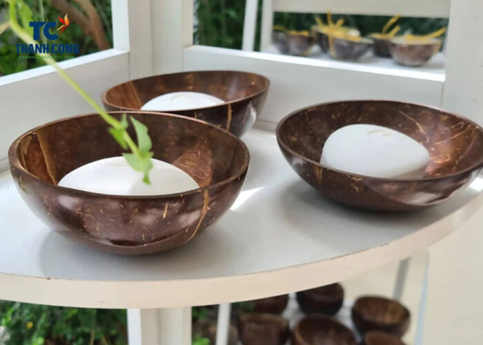 11 Popular Types Of Coconut Shell Bowls Today