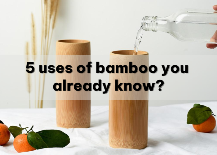 5 Uses Of Bamboo You Already Know