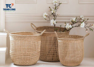 Do Seagrass Baskets Get Mold