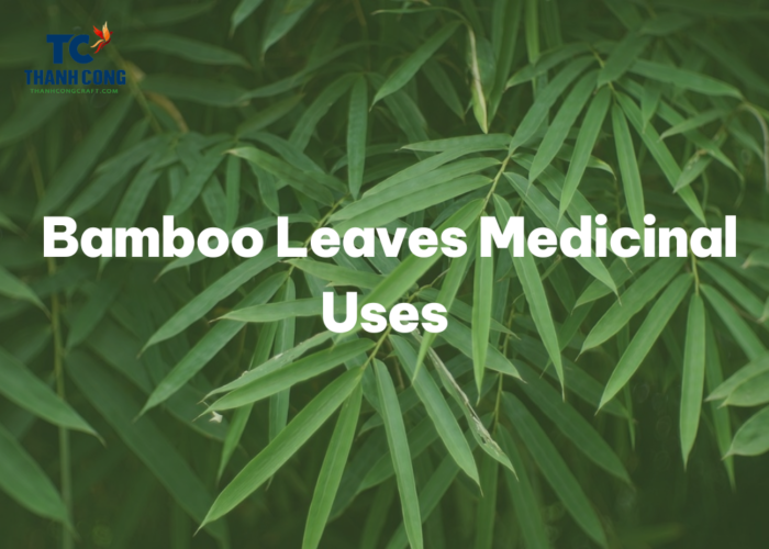 Unexpected Medicinal Bamboo Leaves Medicinal Uses