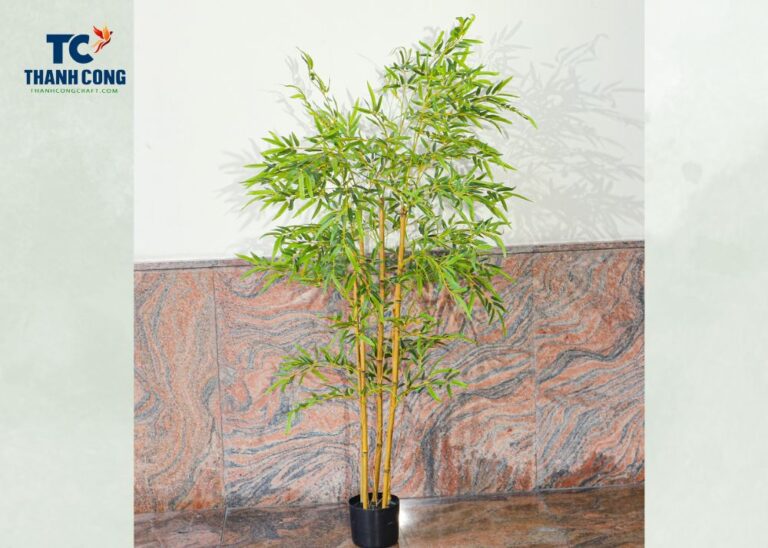 Uses Of Bamboo Plant In Home, Where To Keep Bamboo Plant In Home