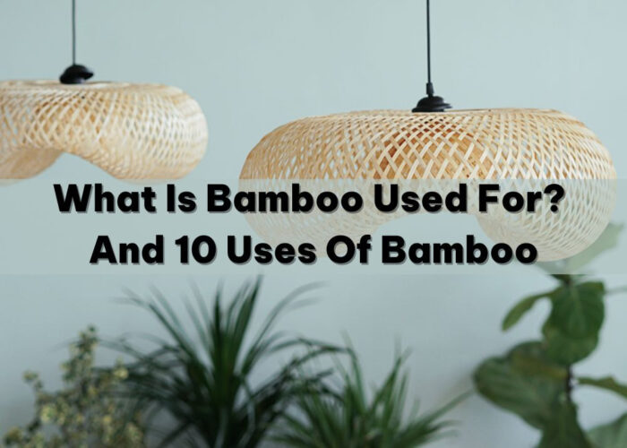 What Is Bamboo Used For And 10 Uses Of Bamboo