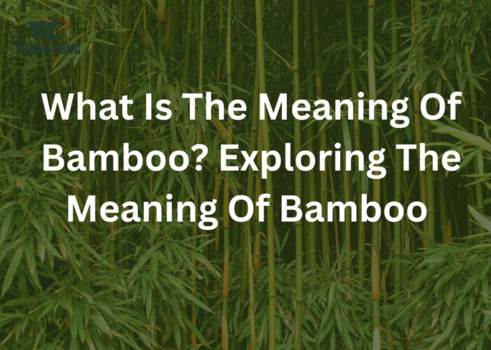 What is the meaning of bamboo? Exploring the Meaning of Bamboo