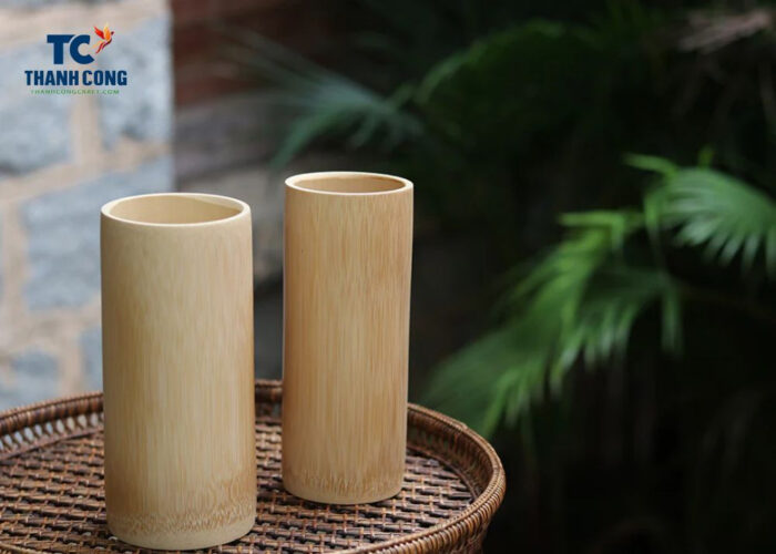 Where Can Bamboo Grow