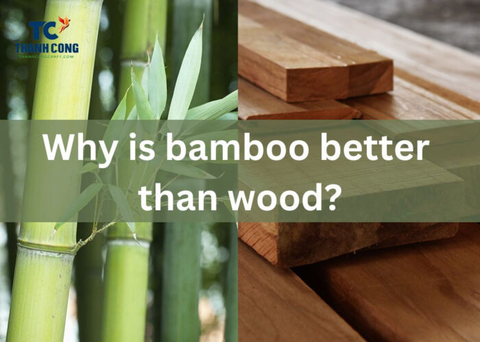 Why is bamboo better than wood