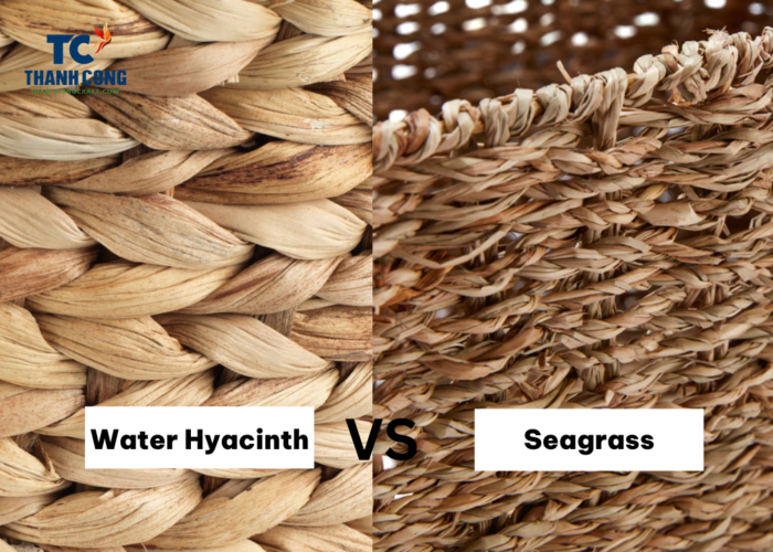 How Different Are Water Hyacinth vs Seagrass