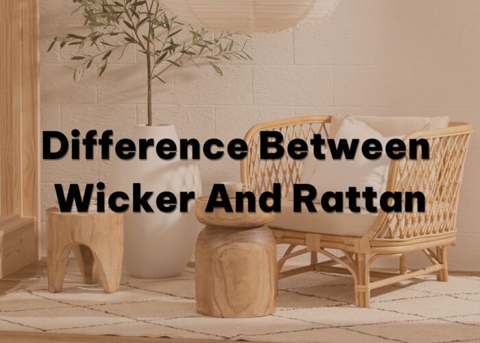 Difference between wicker and rattan