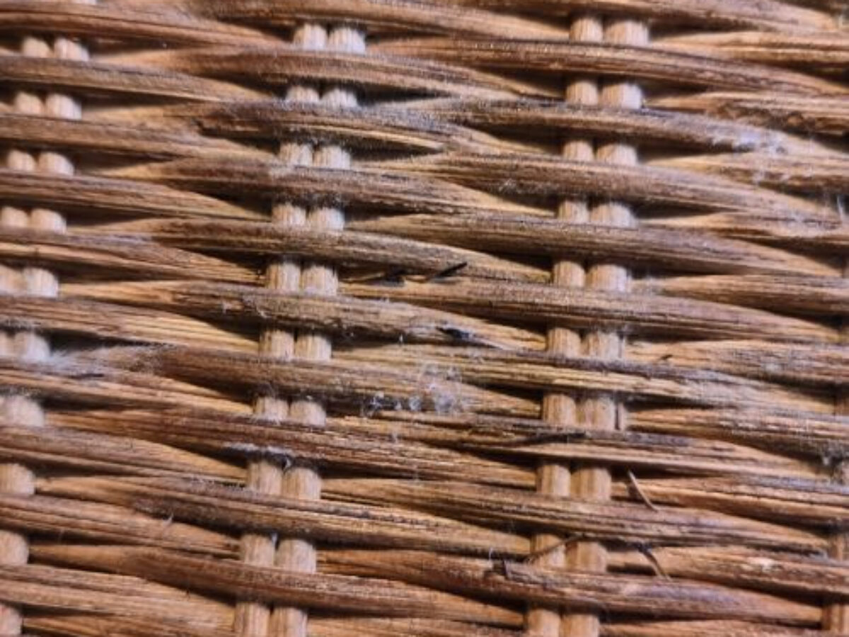 mold growth on wicker furniture close up