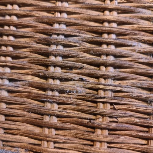 how to get mold out of wicker basket