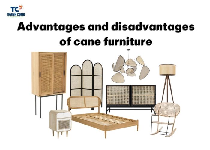 Advantages And Disadvantages Of Cane Furniture