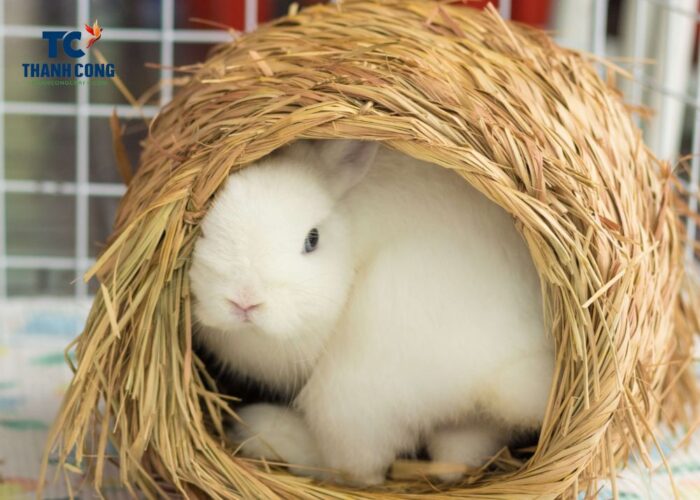 Seagrass rabbit hideaway
