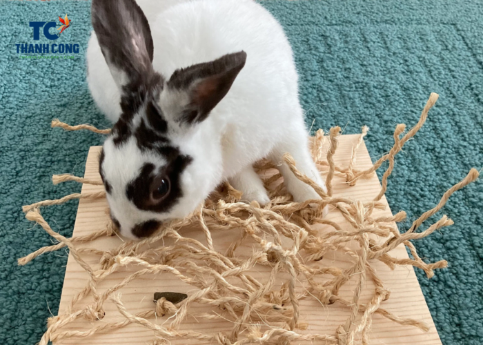 Rabbit-Safe Chewing Materials