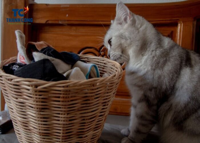 Why do cats pee in laundry baskets
