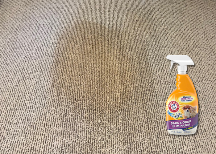pet stain removers, How to clean seagrass carpet