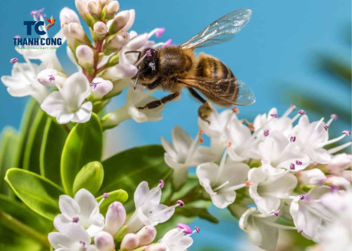 How To Make A Mason Bee House With Bamboo