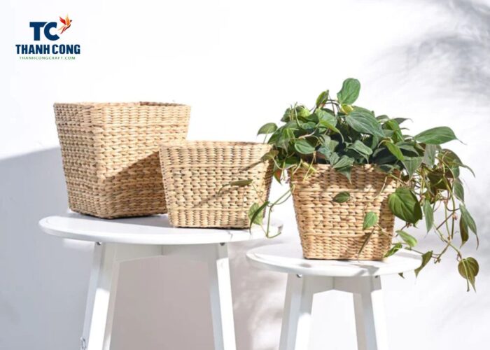 How to use wicker baskets as planters