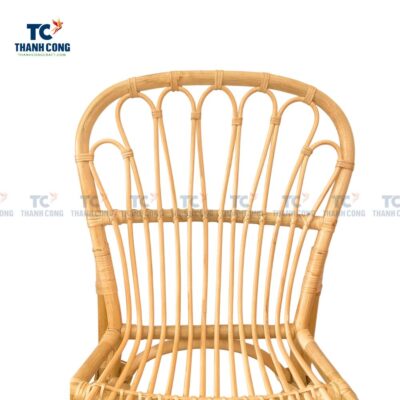 Rattan Dining Chair (TCF-23089)