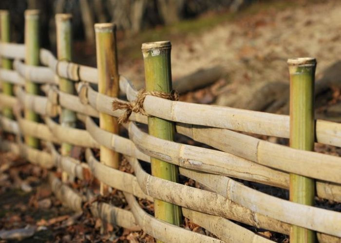 Bamboo garden edging ideas