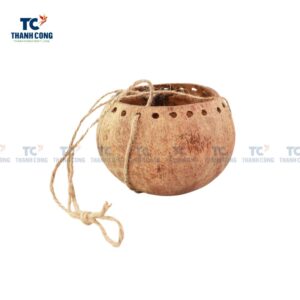 Coconut Shell Planter (TCCP-22018)