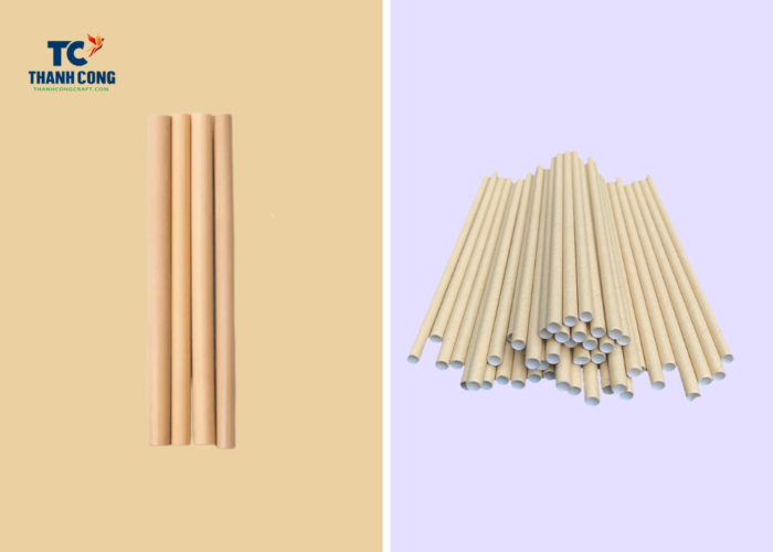 Bamboo straws vs paper straws