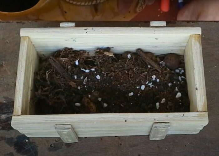 How To Make A Bamboo Planter