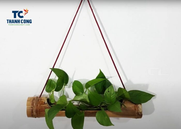 How to make a bamboo planter indoors
