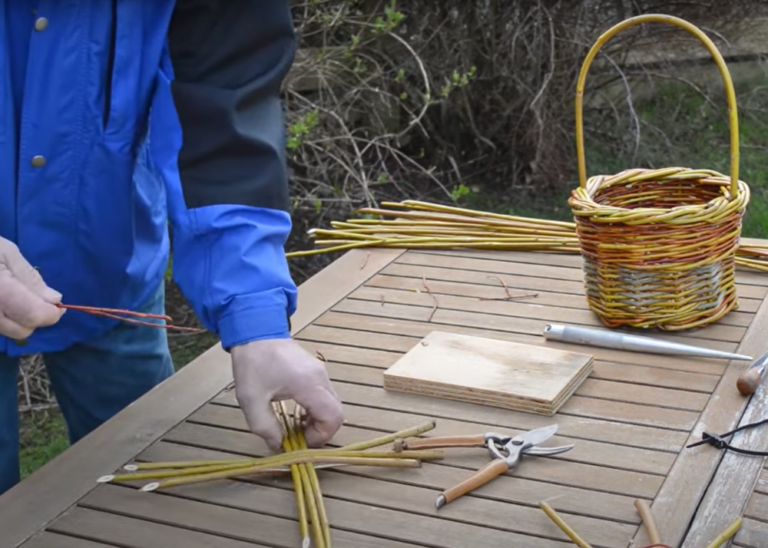 Willow Rods Splints How to make a willow basket step by step for beginners?