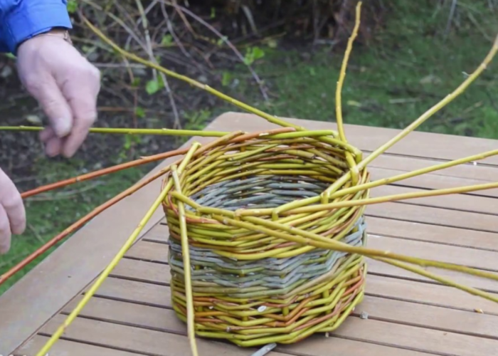 How to make a willow basket step by step for beginners
