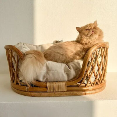 Cane cat bed basket